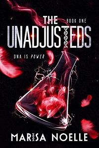 Book cover for THE UNADJUSTEDS: title in white on black above conical flask with red smoke